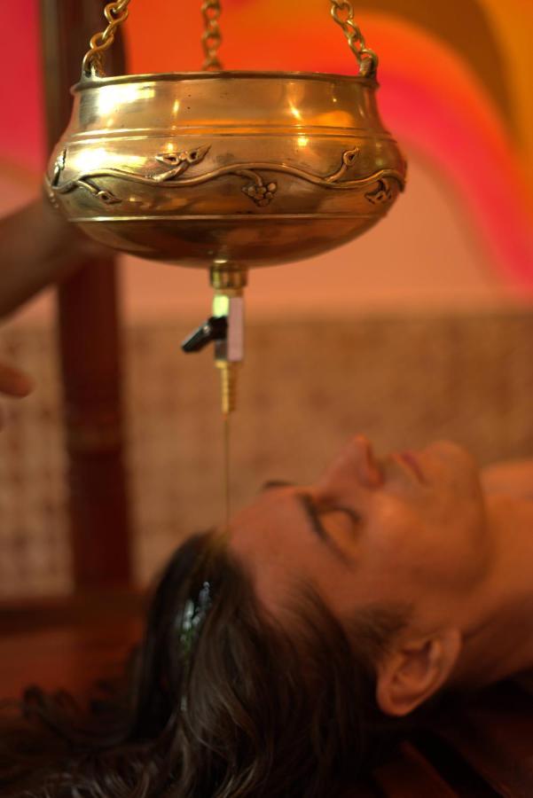 Rudra Sahashrara Bali - Ayurvedic - Health And Wellness Resort Ubud Exteriér fotografie